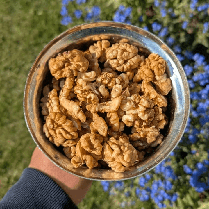 Premium Kashmiri walnuts